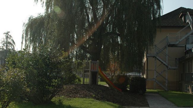 Hotel Dialoghotel Eckstein